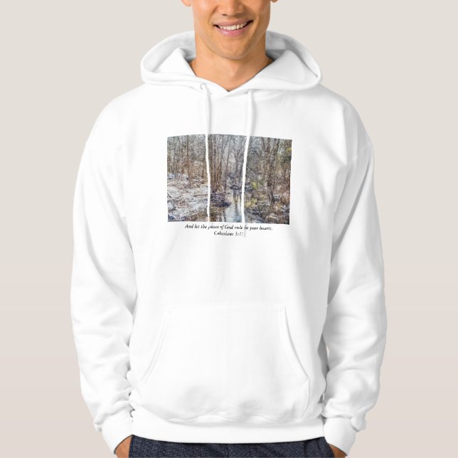 Branson Fall Bäck Winter Snö Painterly Hoodie (Framsida)
