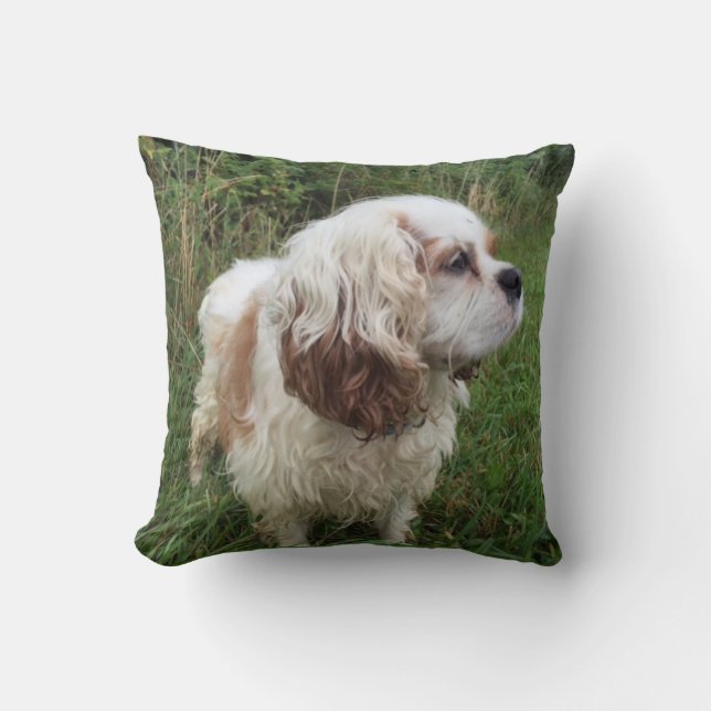 Branson kudder kudde (Framsida)