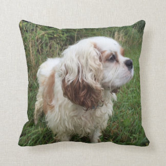 Branson kudder kudde