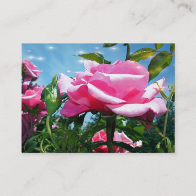 Brantblommor från rosa ros i blå himmel visitkort (Framsida)