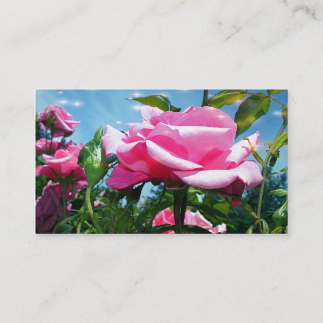 Brantblommor från rosa ros i blå himmel visitkort (Framsida)