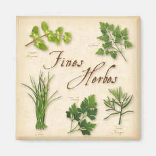 Bras Herbes Magnet