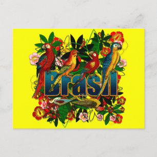 Brasil Brasilien Tropical blommigt regnforest bird Vykort