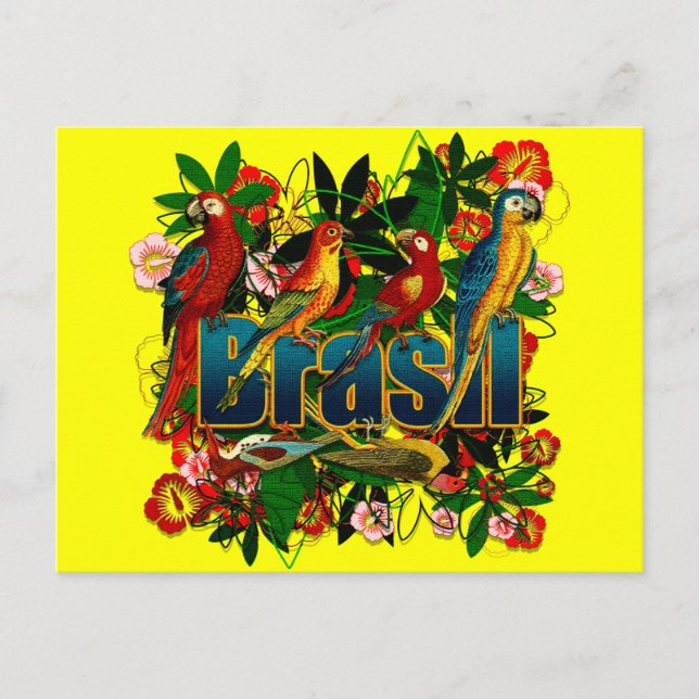 Brasil Brasilien Tropical blommigt regnforest bird Vykort (Framsida)