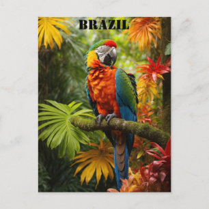 Brasil regnskog Färgrik Aramä papegoja Fågel Resa Vykort