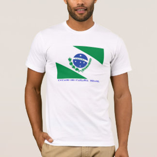 Brasilian som är statlig av den Paraná flagga Tröja