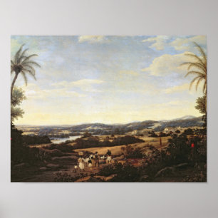 Brasilianen landskap med en koloni poster