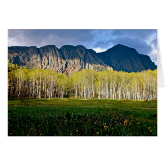 Brasilianerna i New mexico Hälsningskort