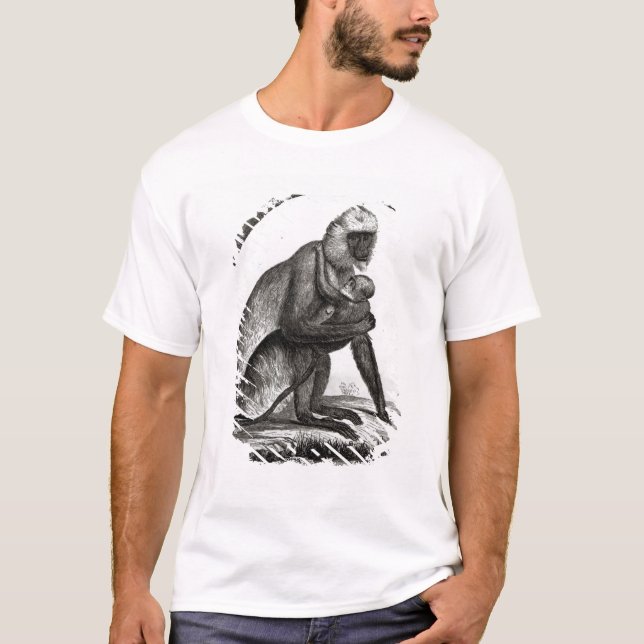 Brasiliansk apa tee (Framsida)