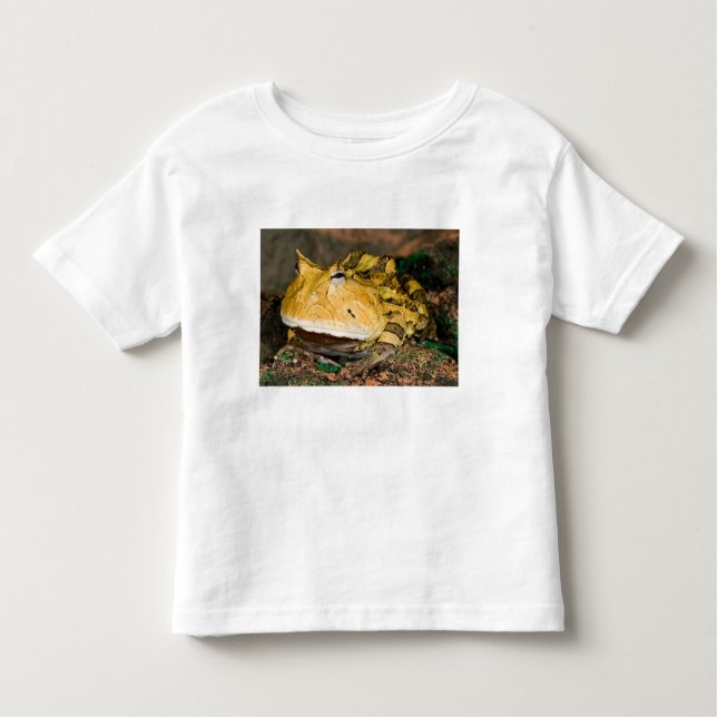 Brasiliansk horn Frog, Ceratophrys cornuta, 3 T Shirt (Framsida)
