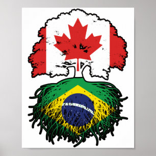 Brasiliansk kanadensisk kanadensiska Träd Roots Fl Poster