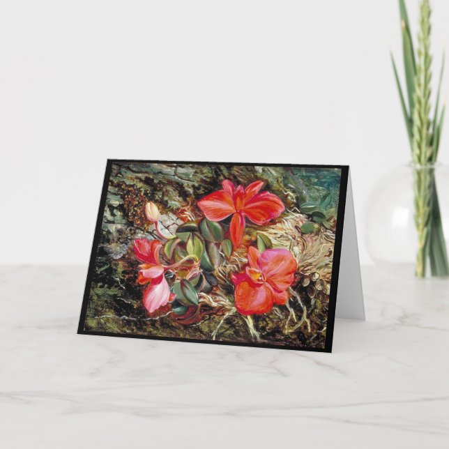 Brasiliansk Orchid, målning av Marianne North Kort (Framsida)