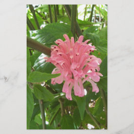 Brasiliansk plumblomma brevpapper