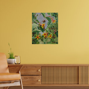 Brasiliansk Shrub för klättring och humming av fåg Poster
