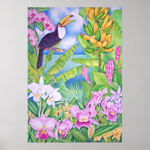 Brasiliansk Toucan i Amazon Poster
