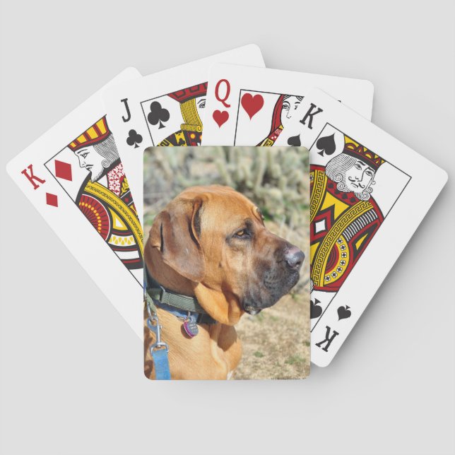 Brasilianska Mastiff-spelkort Casinokort (Baksidan)