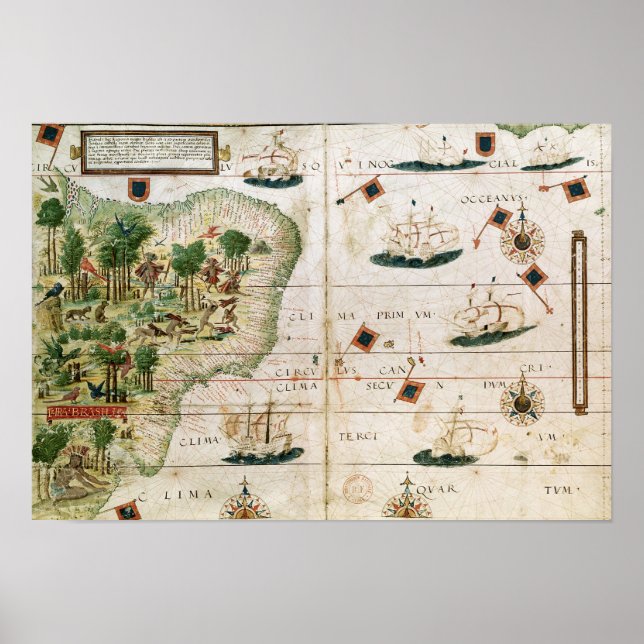 Brasilien från "Miller Atlas" av Pedro Reinel Poster (Framsidan)