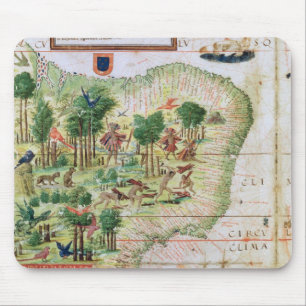 Brasilien från 'mjölnareatlas'na musmatta