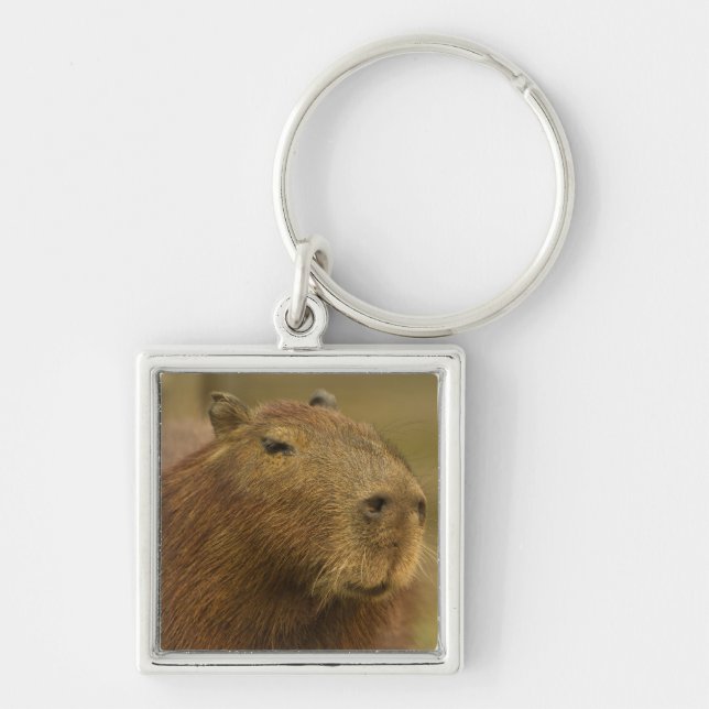Brasilien, Pantanal, Matto Grosso. Capybara Fyrkantig Silverfärgad Nyckelring (Framsidan)