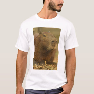 Brasilien, Pantanal, Matto Grosso. Capybara T-shirt