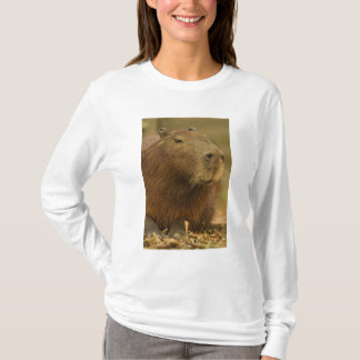 Brasilien, Pantanal, Matto Grosso. Capybara Tee Shirt