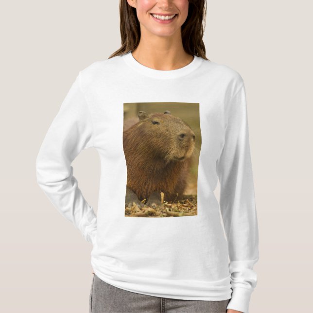 Brasilien, Pantanal, Matto Grosso. Capybara Tee Shirt (Framsida)