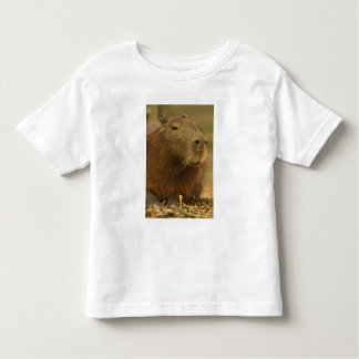 Brasilien, Pantanal, Matto Grosso. Capybara Tee Shirt