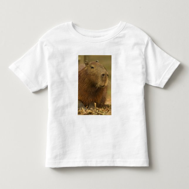 Brasilien, Pantanal, Matto Grosso. Capybara Tee Shirt (Framsida)