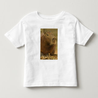 Brasilien, Pantanal, Matto Grosso. Kapybara Tee Shirt