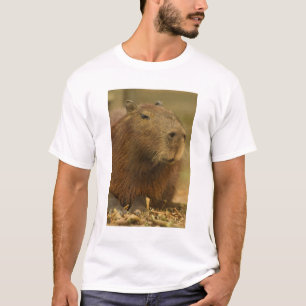 Brasilien, Pantanal, Matto Grosso. Kapyvara T-shirt