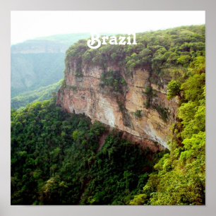 Brasilien Rainforest Poster