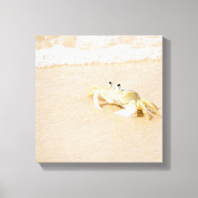 Brasilien, Rio de Janeiro, Buzios, Crab on Canvastryck (Framsida)