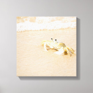 Brasilien, Rio de Janeiro, Buzios, Crab on Canvastryck