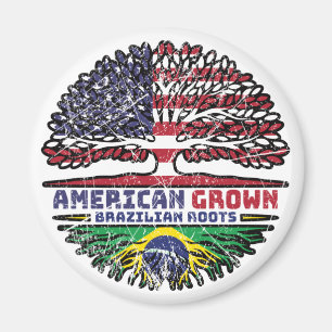 Brasilien, USA, USA, Stater Magnet