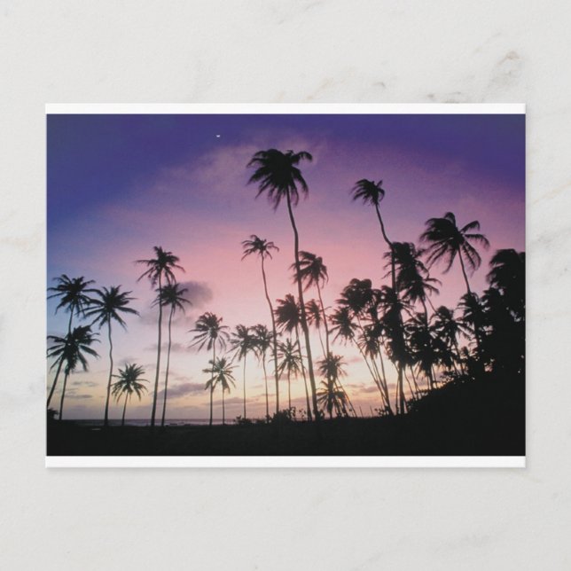 Brasilien Vykort (Framsida)