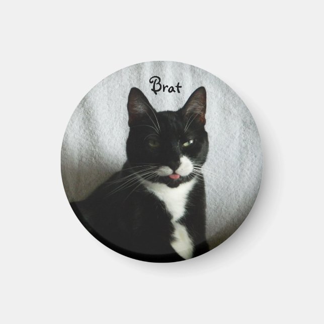 Brat Cat Magnet (Framsidan)