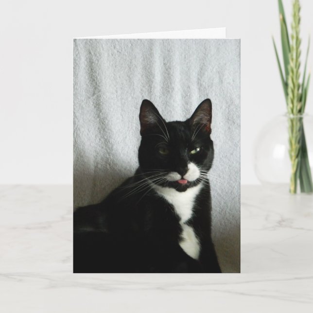 Brat Cat Razzberry Birthday Kort (Framsida)