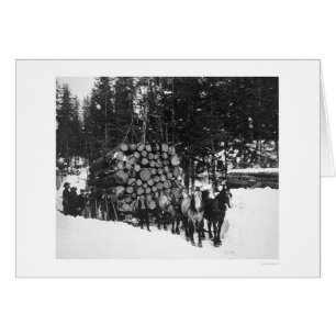 Bråte som Hauling Seward, Alaska 1919 Hälsningskort