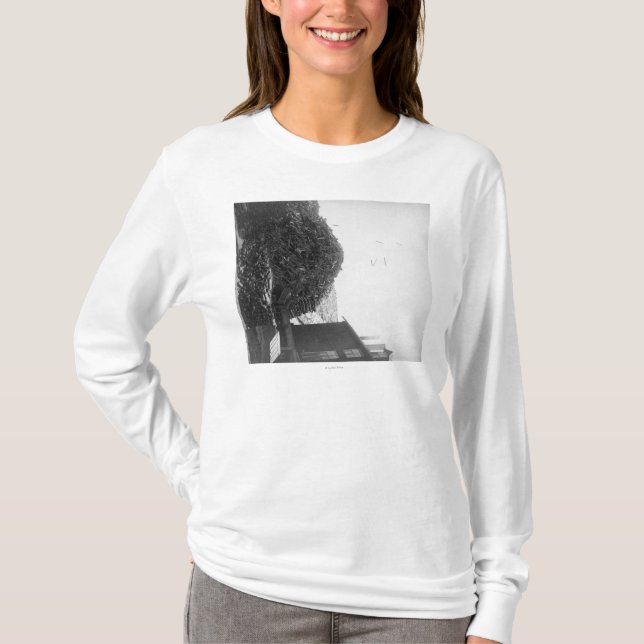 Bråtehögen utanför Den Smet Mala fotograferar Tee (Framsida)