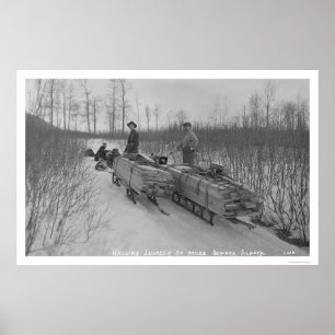 Bråtehund Seward, Alaska 1917 Poster