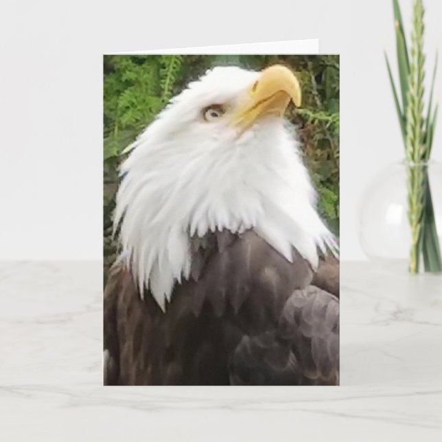 Brave Eagle Greeting Card Kort (Framsida)