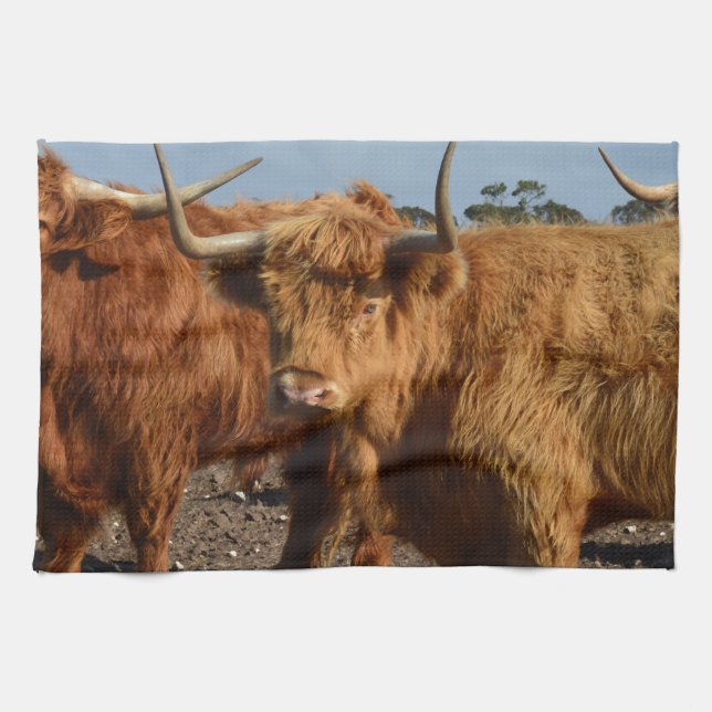 Brawny Beauty: Majestic Big Brown Highland Cow Kökshandduk (Horisontell)