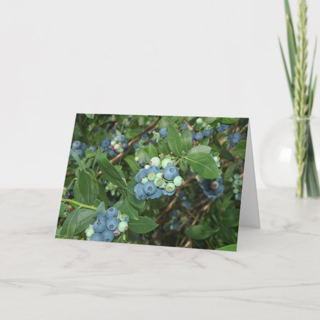 Brays Bluebär Greene County Indiana Kort (Framsida)