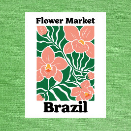 Brazil Flower Market Peach Orchid Tropical Vykort