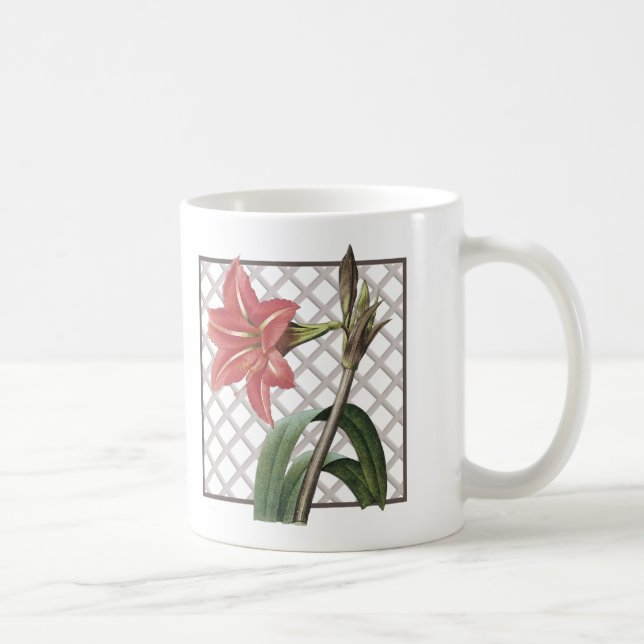 BRAZILIAN AMARYLLIS KAFFEMUGG (Höger)