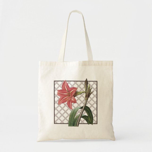 BRAZILIAN AMARYLLIS TYGKASSE (Framsidan)