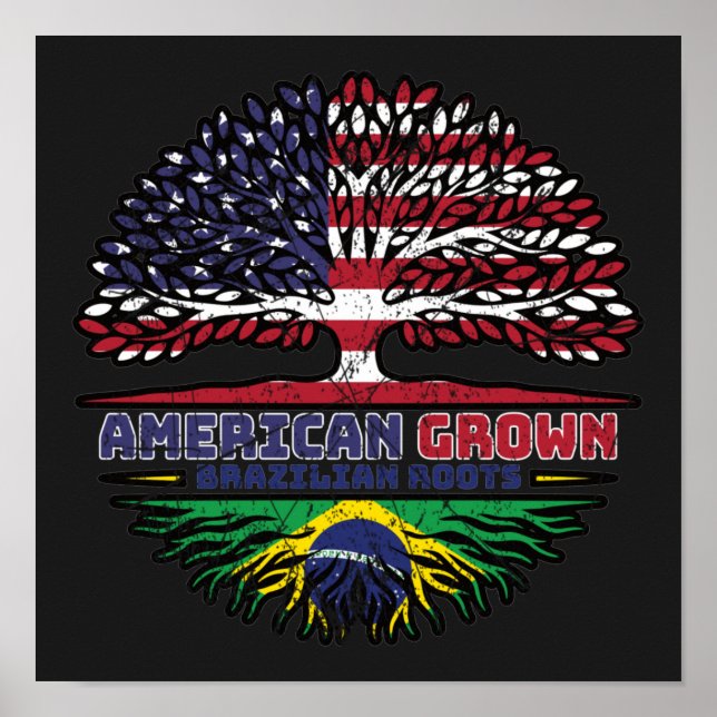 Brazilian Brazil US American USA United States Poster (Framsidan)