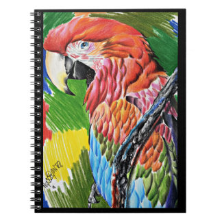 Brazilian Scarlat Macaw - Hand Drawn Wildlife Art Anteckningsbok