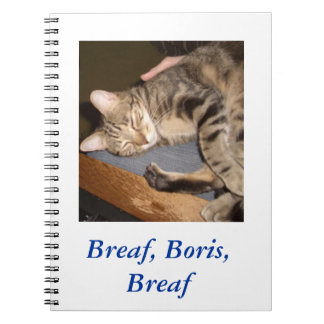 Breaf Boris, Breaf anteckningsbok