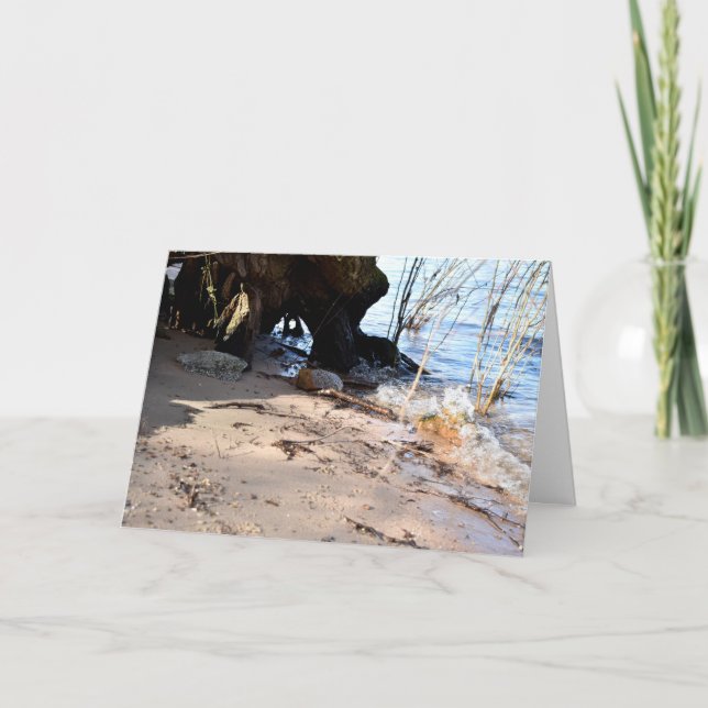 Breakers, Beachlife Kort (Framsida)